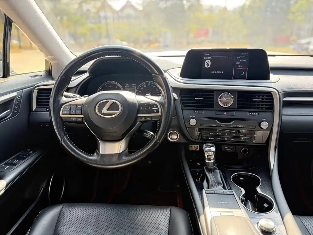 Lexus Lexus RX 300 AWD Classic Edition 2020 Model Year Facelift 2020 - thumbnail 10