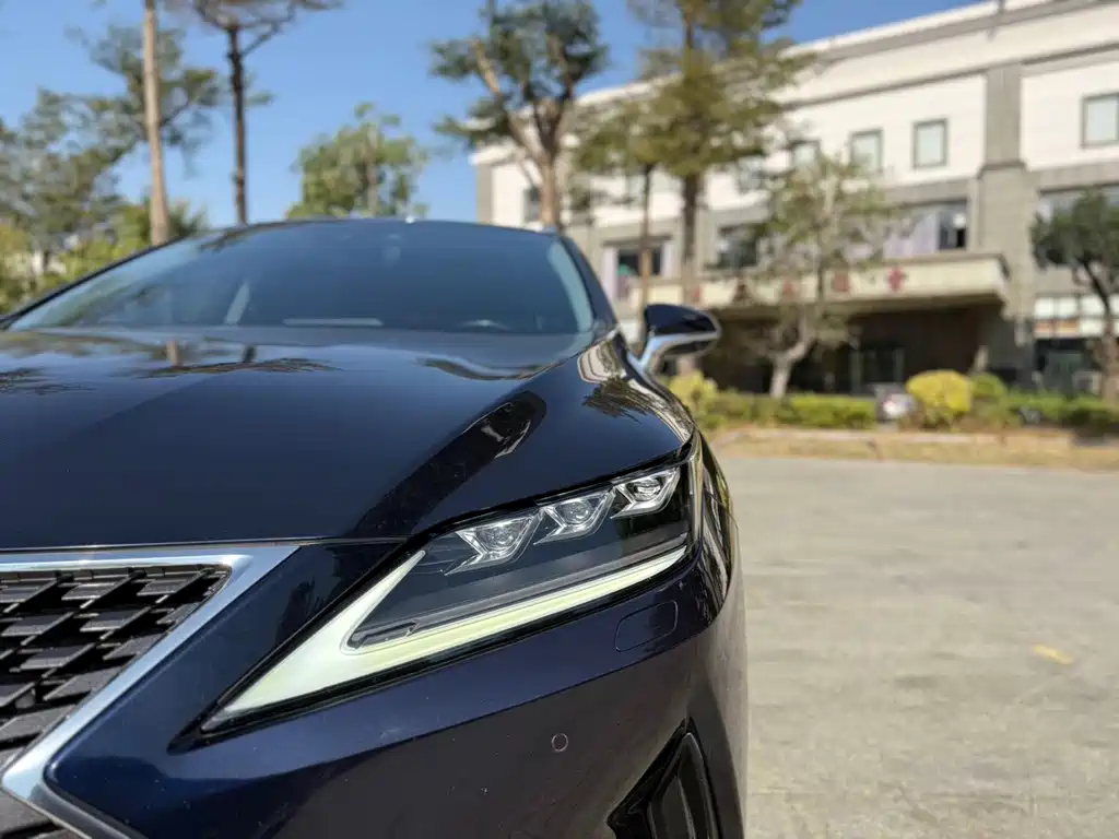 Lexus Lexus RX 300 AWD Classic Edition 2020 Model Year Facelift 2020 - thumbnail 16