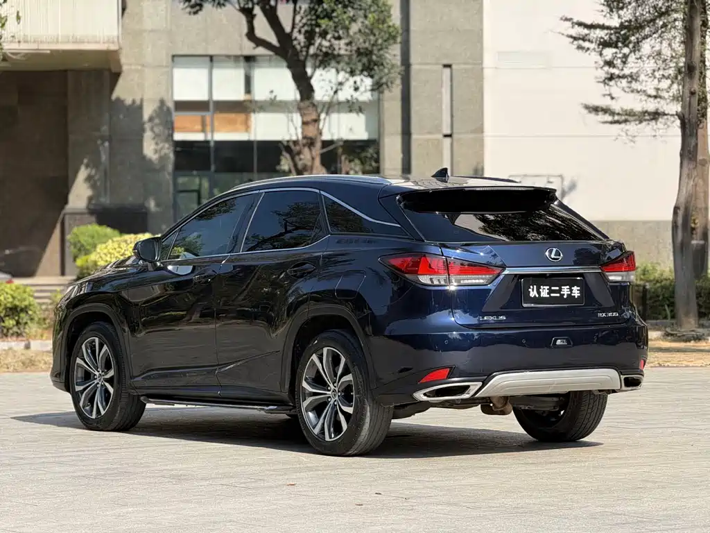 Lexus Lexus RX 300 AWD Classic Edition 2020 Model Year Facelift 2020 - thumbnail 19