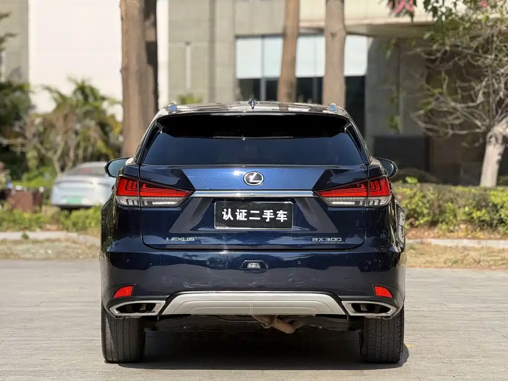 Lexus Lexus RX 300 AWD Classic Edition 2020 Model Year Facelift 2020 - thumbnail 20