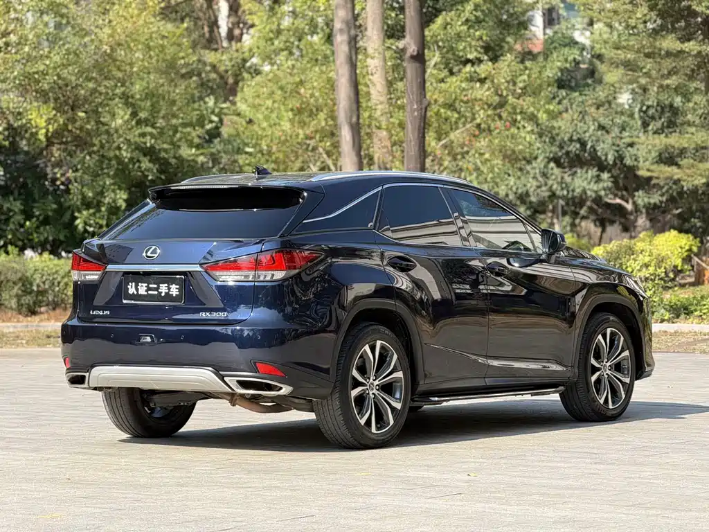 Lexus Lexus RX 300 AWD Classic Edition 2020 Model Year Facelift 2020 - thumbnail 21