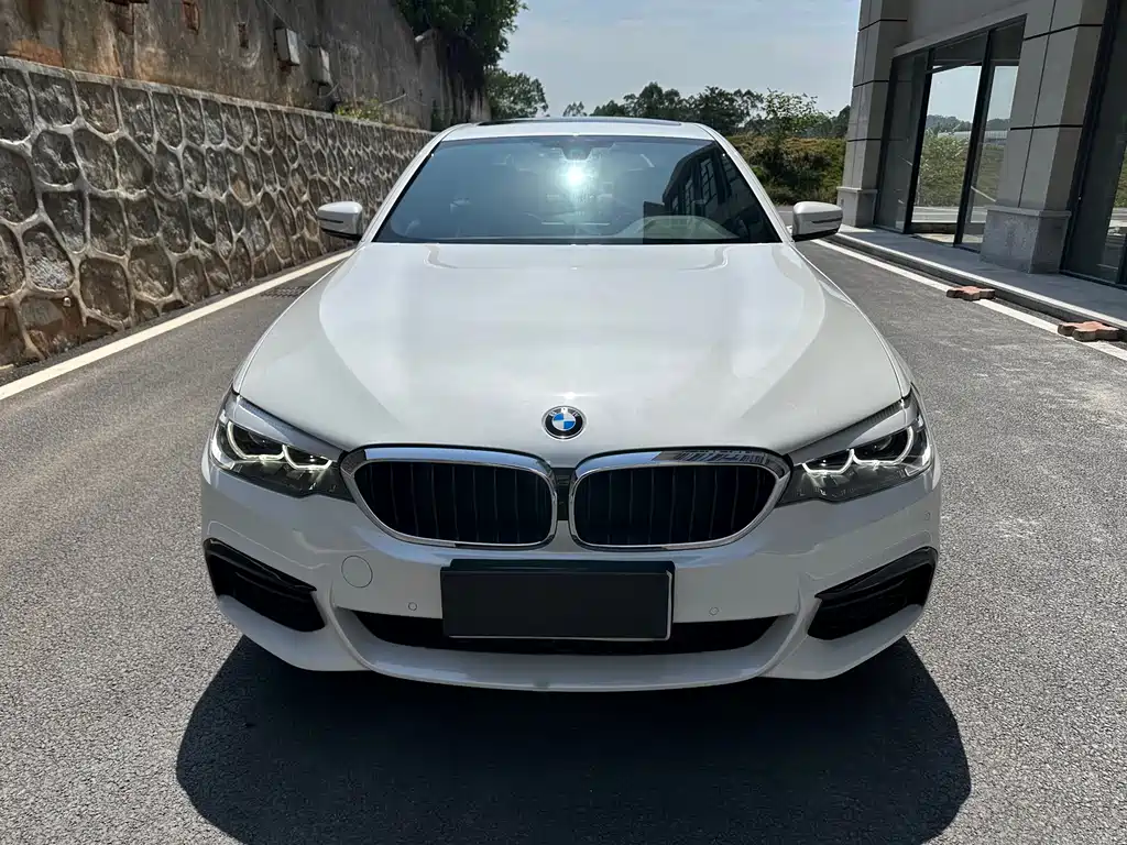 BMW BMW 5 Series 2018 530Li Leading Model M Sport Package 2018 - thumbnail 2
