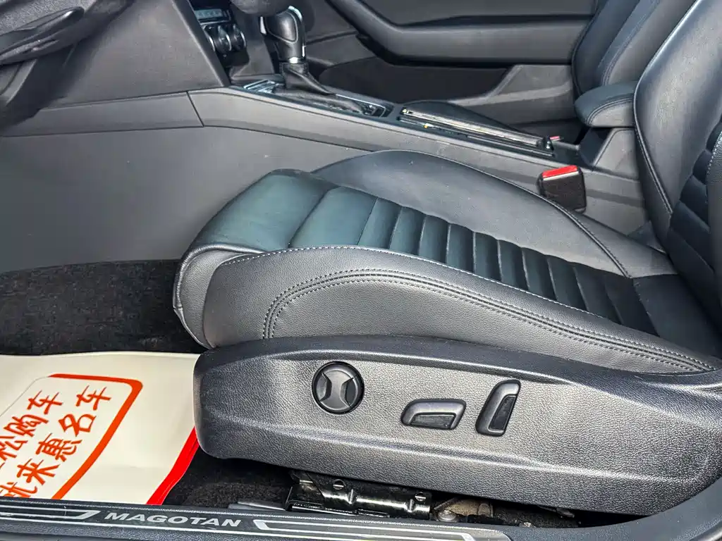 Volkswagen Magotan 2019 330TSI DSG Luxury Model国VI 2019 - thumbnail 5