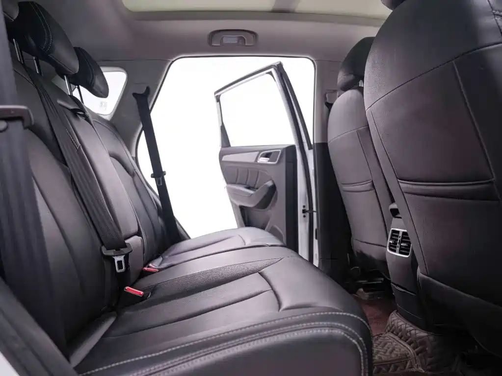 Roewe Roewe RX5 2020 20T Automatic 4G Connectivity Premium Edition 2020 - thumbnail 25