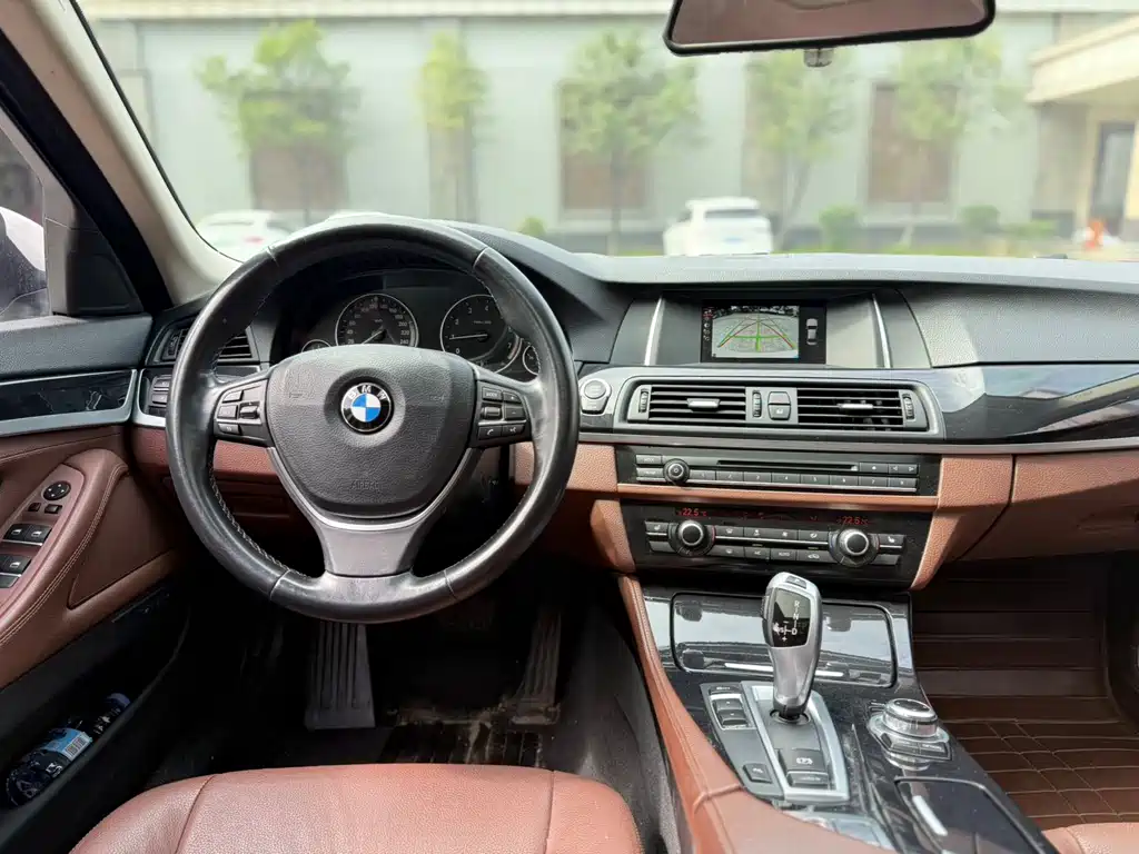 BMW BMW 5 Series 2017 520Li Elegant 2017 - thumbnail 10