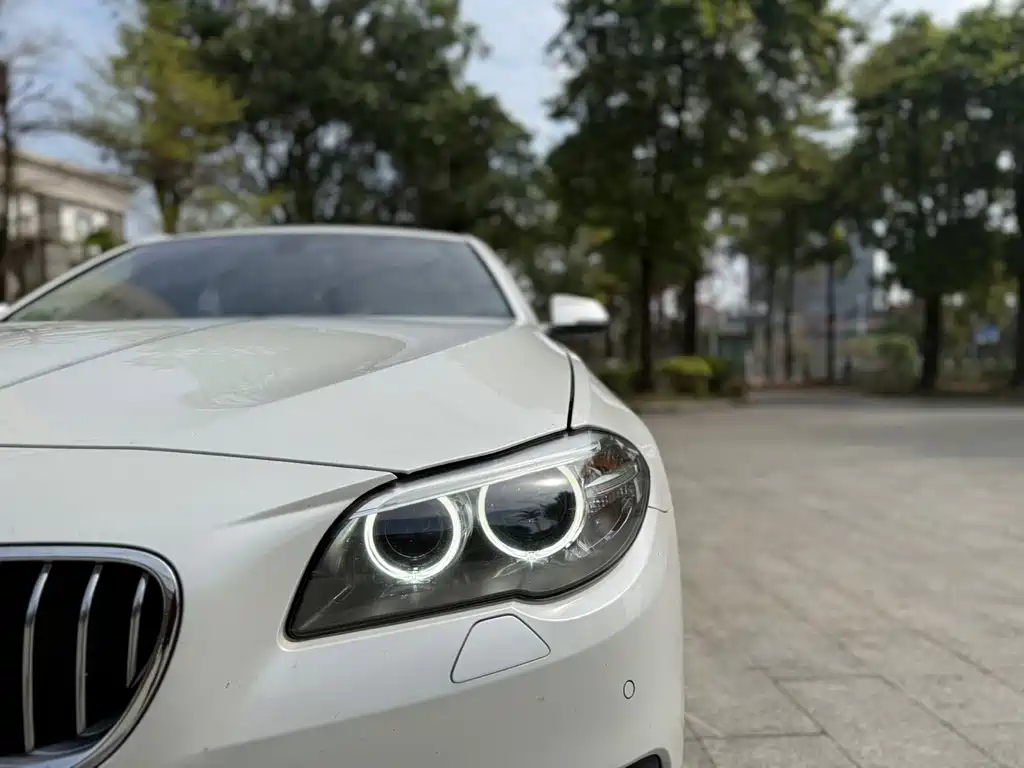 BMW BMW 5 Series 2017 520Li Elegant 2017 - thumbnail 15