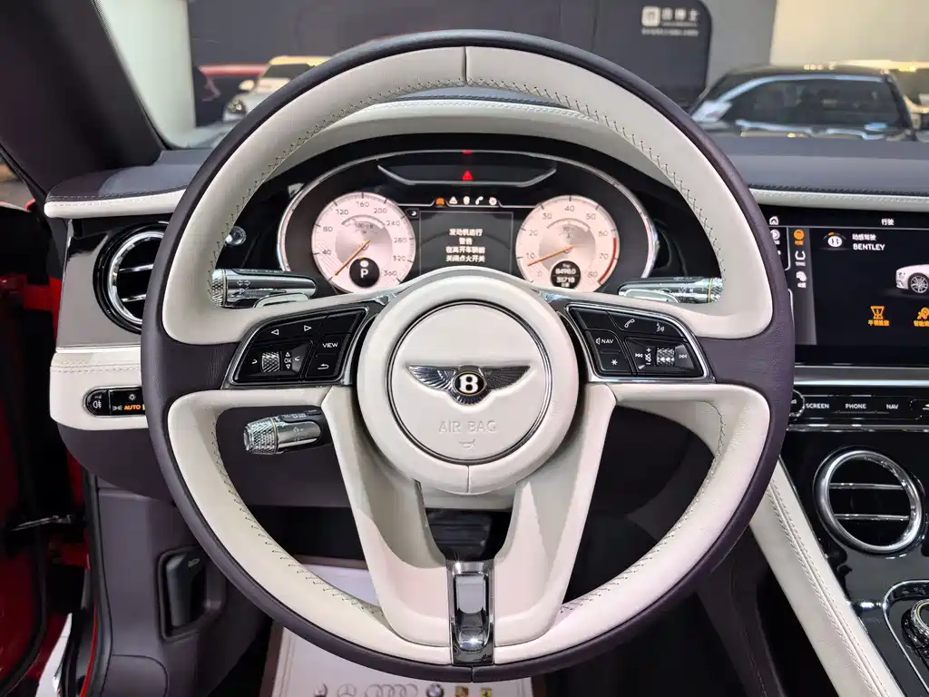 Bentley Bentley Continental 2018 6.0T GT W12 2020 - thumbnail 8