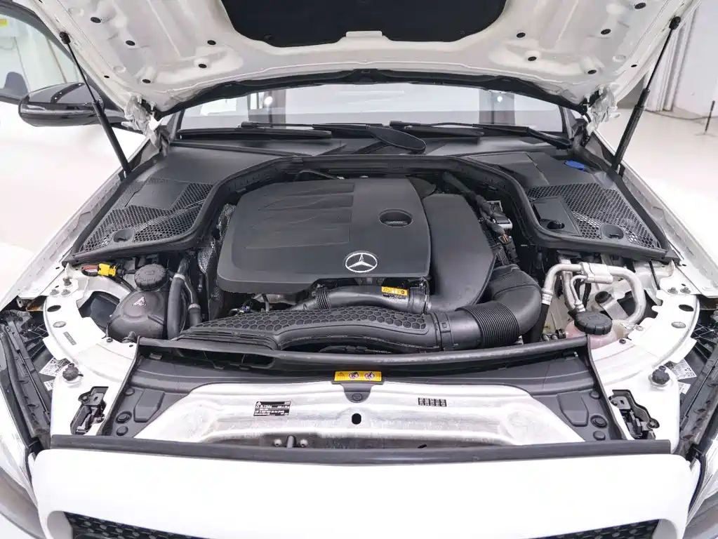 Mercedes-Benz Mercedes-Benz C-Class 2021 C 260 Star Brilliant Collector's Edition 2021 - thumbnail 25