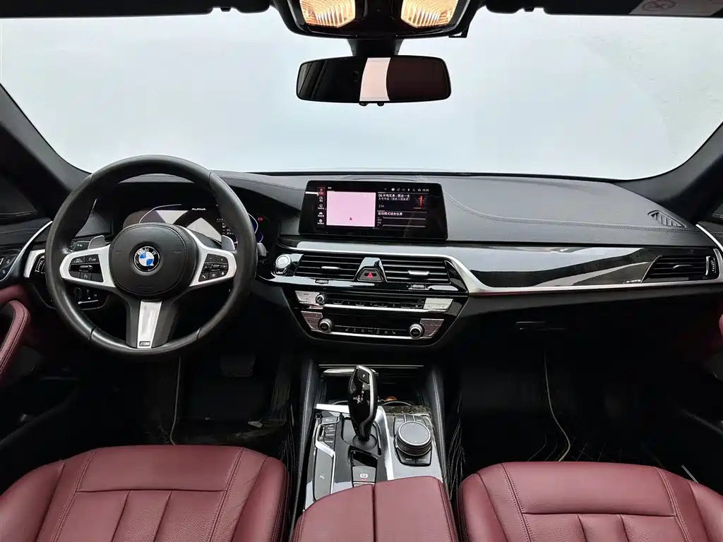 BMW BMW 5 Series 2020 530Li Leading Model M Sport Package 2019 - thumbnail 10