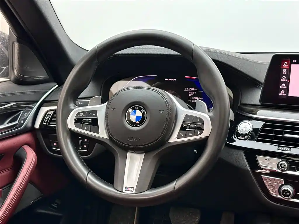 BMW BMW 5 Series 2020 530Li Leading Model M Sport Package 2019 - thumbnail 12