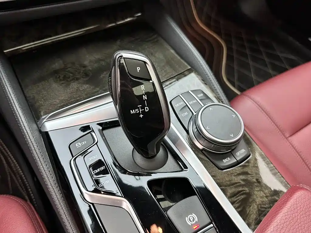 BMW BMW 5 Series 2020 530Li Leading Model M Sport Package 2019 - thumbnail 16