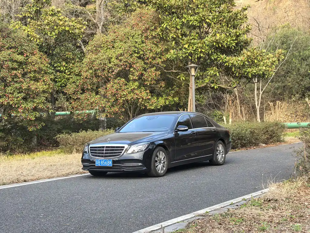 Mercedes-Benz Mercedes-Benz S-Class 2019 S 320 L 2019