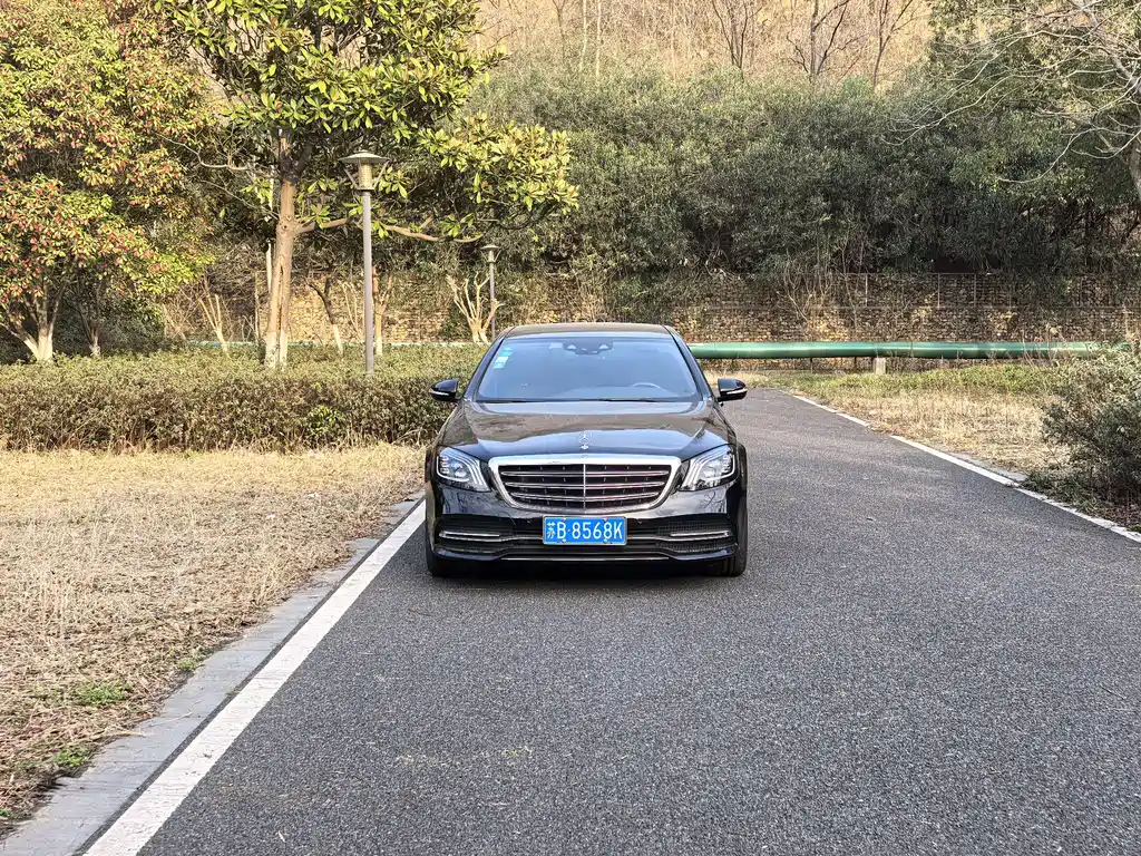 Mercedes-Benz Mercedes-Benz S-Class 2019 S 320 L 2019 - thumbnail 2