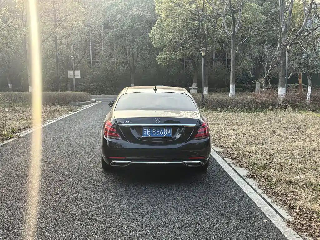 Mercedes-Benz Mercedes-Benz S-Class 2019 S 320 L 2019 - thumbnail 12