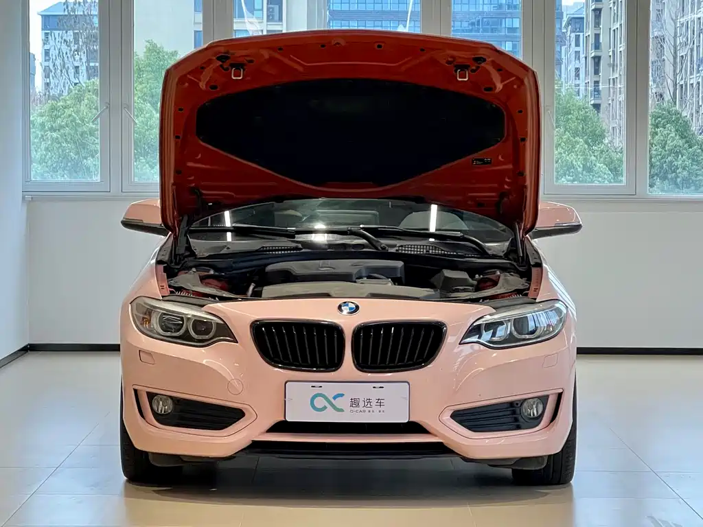 BMW BMW 2 Series Convertible 2015 220i M Sport 2015 - thumbnail 16