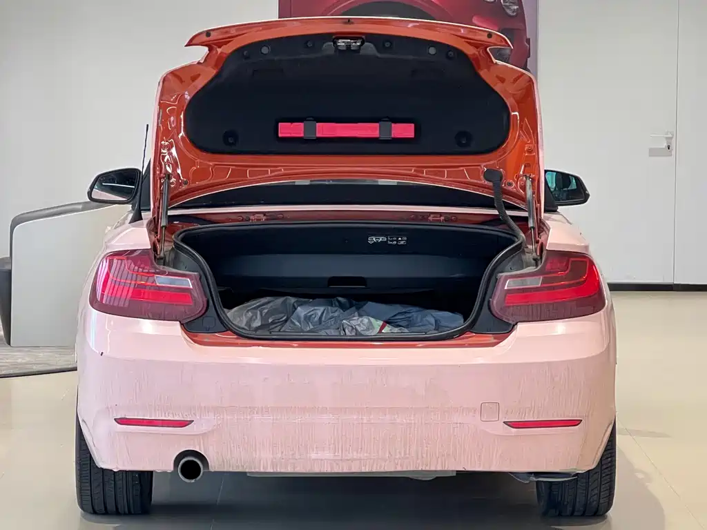 BMW BMW 2 Series Convertible 2015 220i M Sport 2015 - thumbnail 17