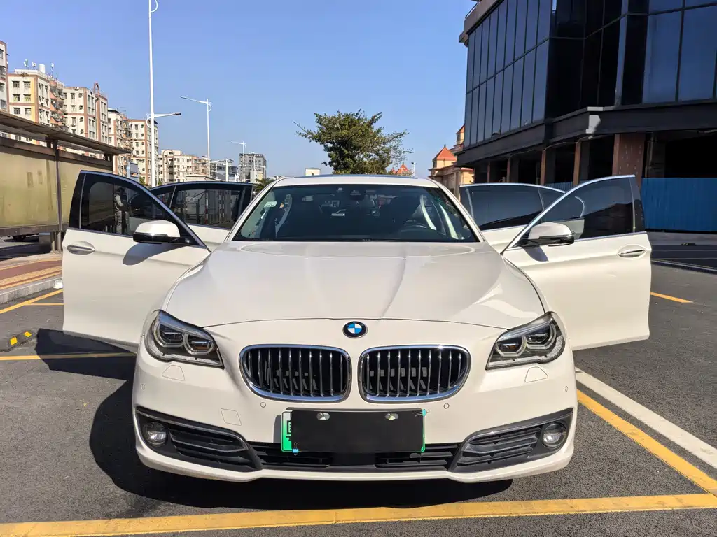 BMW BMW 5 Series Hybrid 2015 Model 530Le 2016 - thumbnail 9