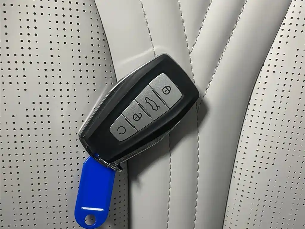 Geely Auto Star Ray L 2024 Hybrid 1.5T Tian Gong Edition 2025 - thumbnail 11