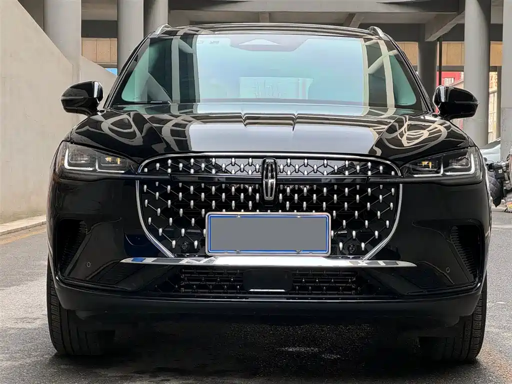Lincoln Lynx 2023 2.0T Two-Wheel Drive Premium Edition 2024 - thumbnail 2