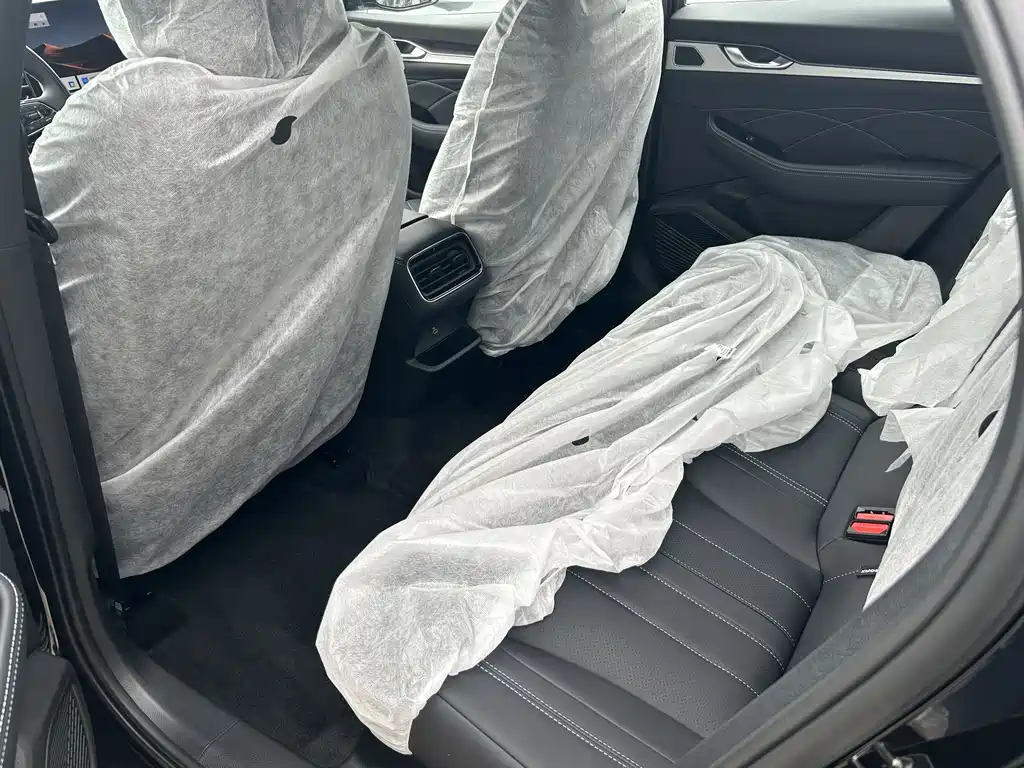 Geely Auto Star Ray 2026 East Shine 1.5TD Fuyao Edition 2026 - thumbnail 8