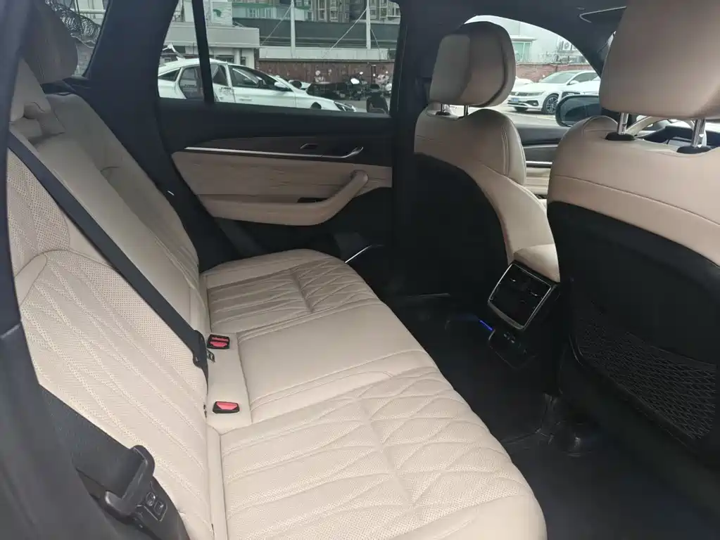 Geely Auto Star Ray L 2024 2.0TD High Power Automatic FWD Cloud Edition 2025 - thumbnail 11