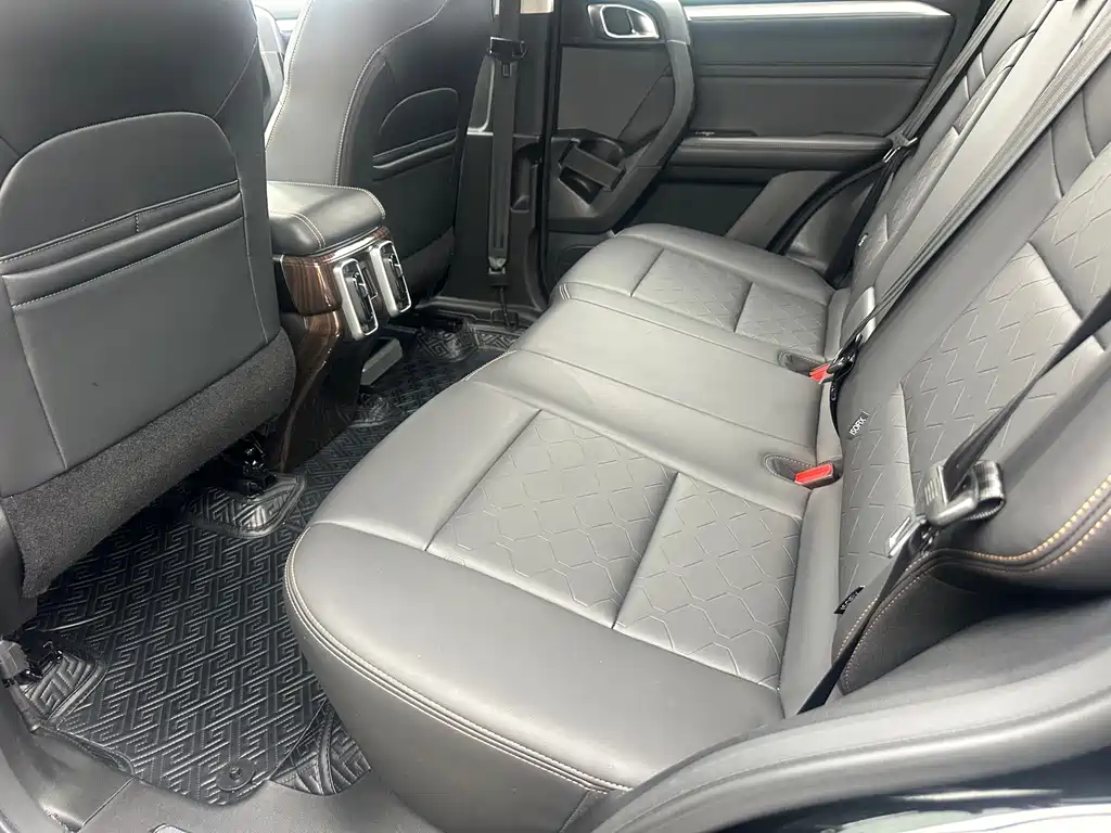 Haval Haval Big Dog 2022 2.0T DCT AWD Chinese Rural Dog Hunting Edition 2022 - thumbnail 8