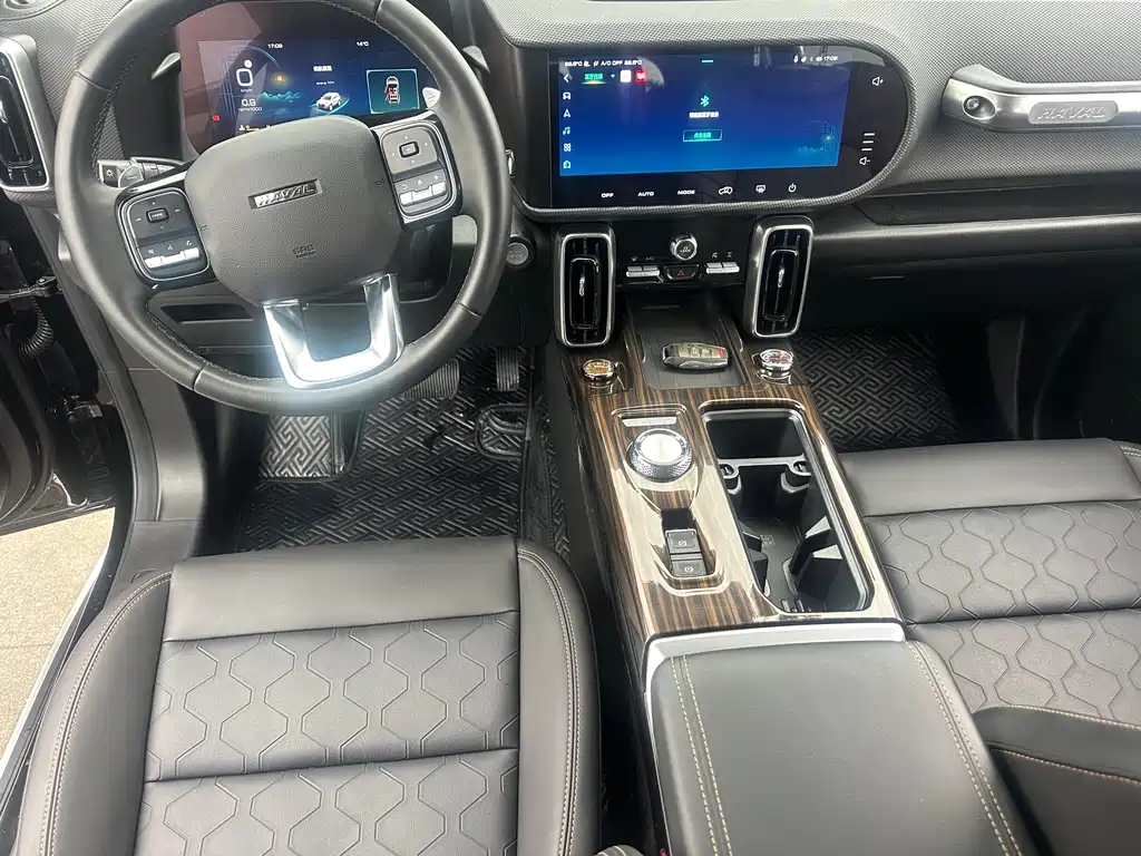 Haval Haval Big Dog 2022 2.0T DCT AWD Chinese Rural Dog Hunting Edition 2022 - thumbnail 10