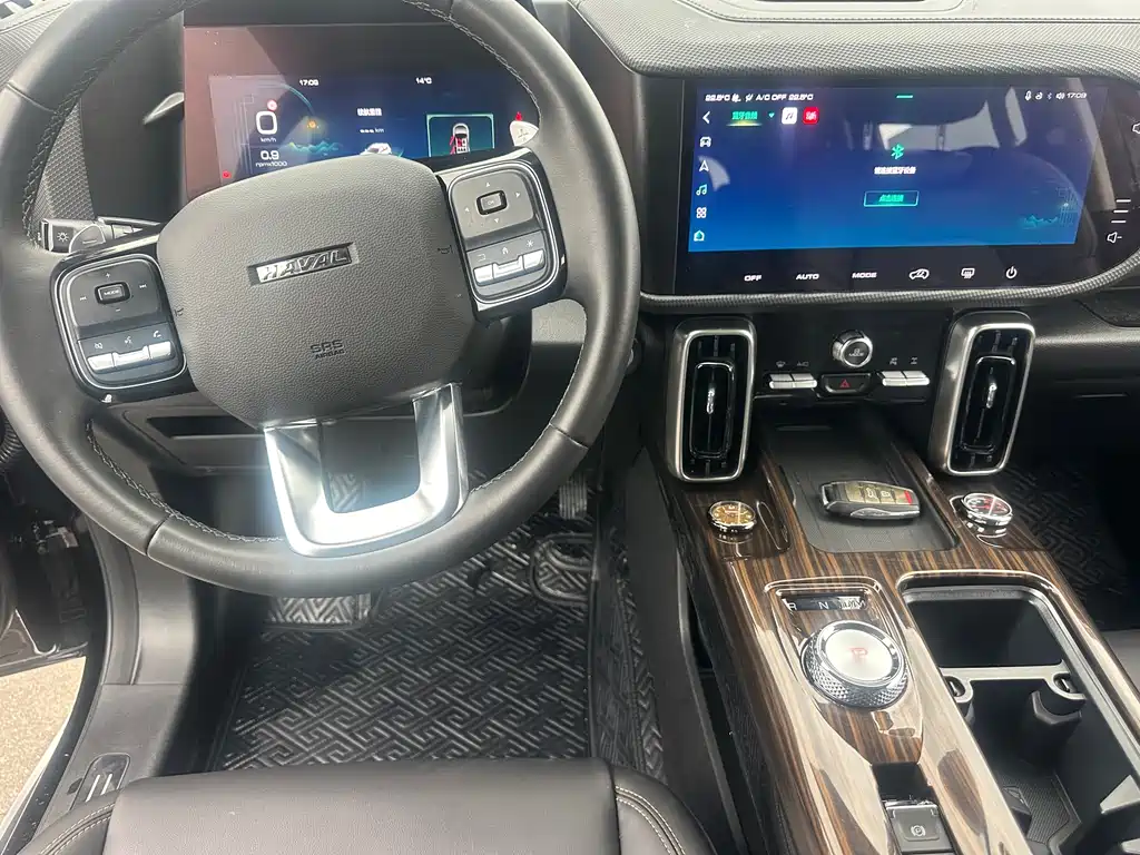 Haval Haval Big Dog 2022 2.0T DCT AWD Chinese Rural Dog Hunting Edition 2022 - thumbnail 11