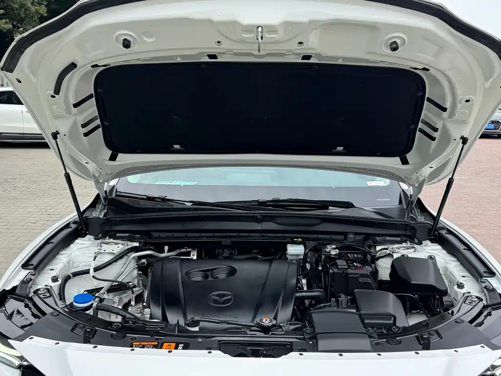 Mazda Mazda CX-50 2023 2.0L Luxe 2023 - thumbnail 12