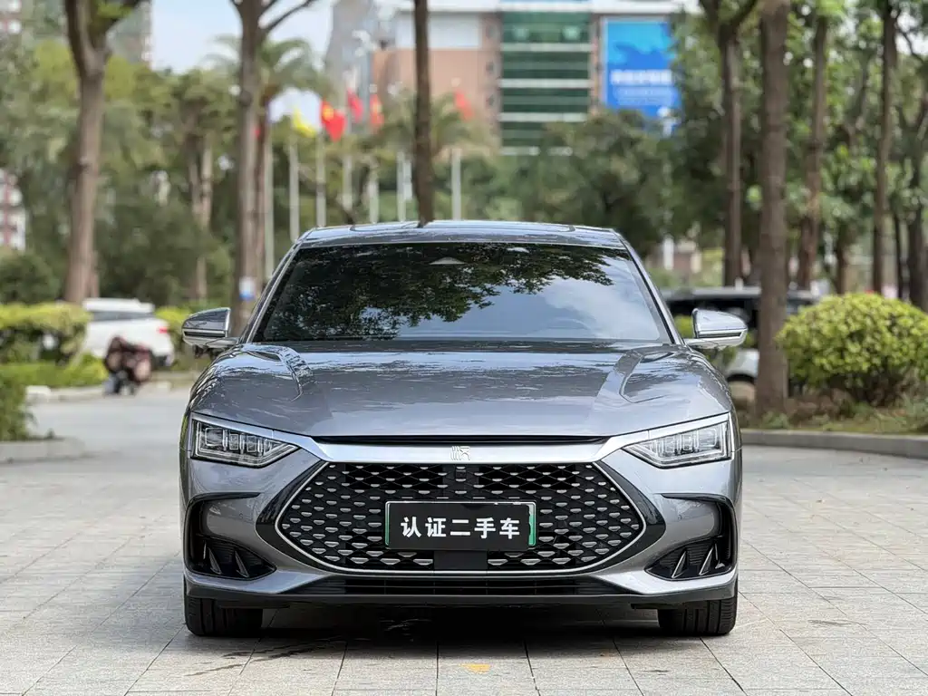 BYD BYD Han 2023 DM-i Champion Edition 121KM Luxury Model 2023 - thumbnail 2