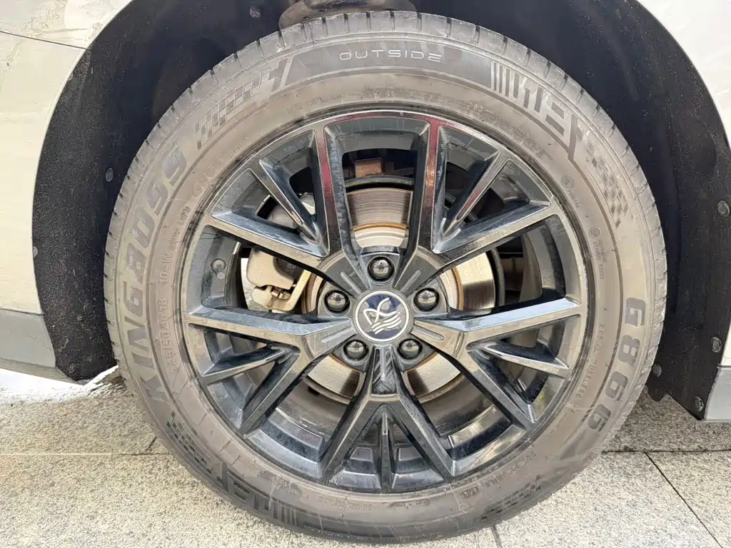 BYD BYD Han 2023 DM-i Champion Edition 121KM Luxury Model 2023 - thumbnail 18
