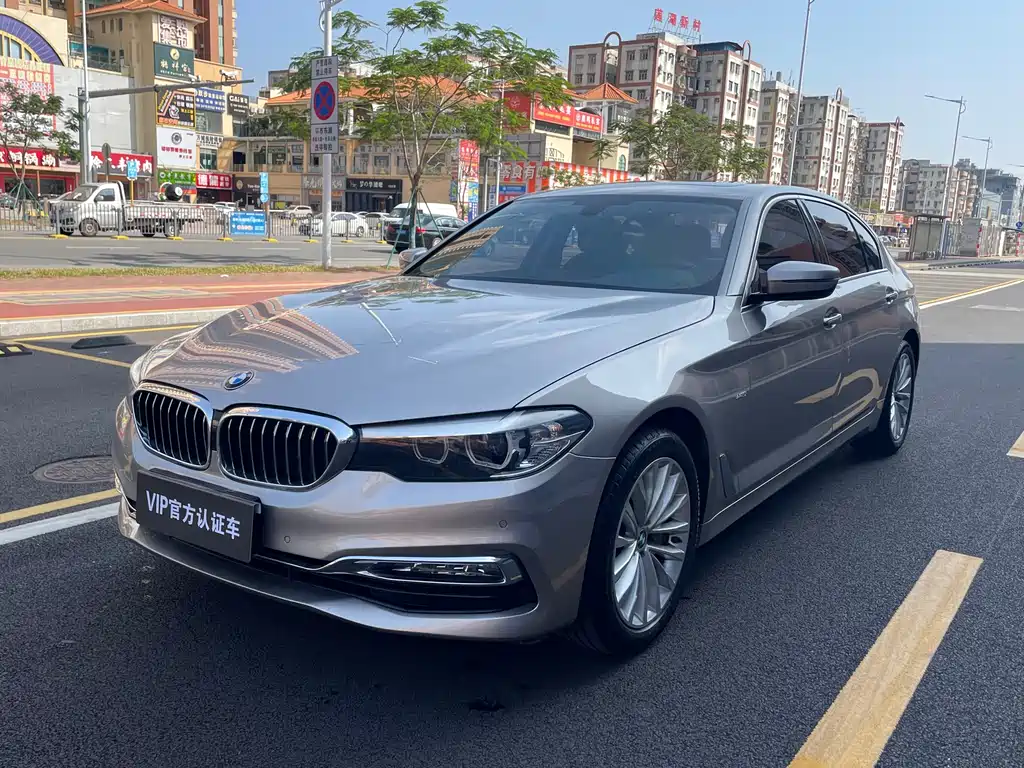 BMW BMW 5 Series 2018 530Li Leading Model Luxury Package 2018 - thumbnail 2