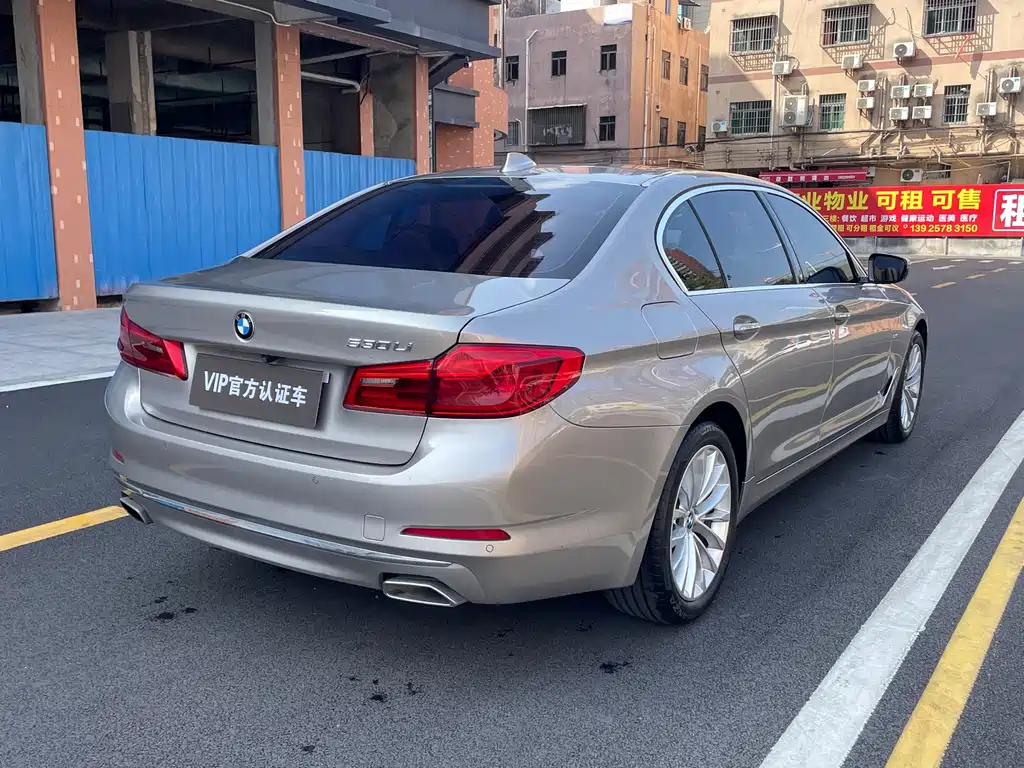 BMW BMW 5 Series 2018 530Li Leading Model Luxury Package 2018 - thumbnail 8