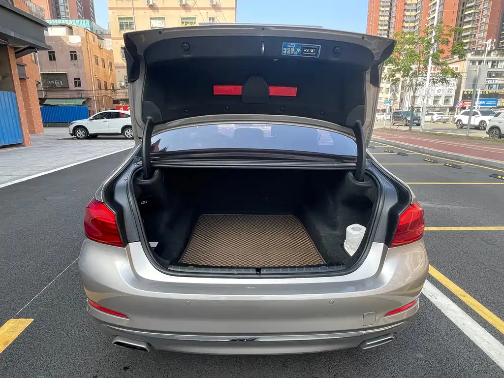BMW BMW 5 Series 2018 530Li Leading Model Luxury Package 2018 - thumbnail 19