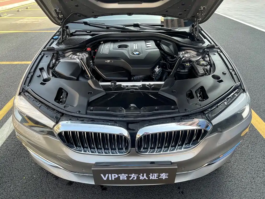 BMW BMW 5 Series 2018 530Li Leading Model Luxury Package 2018 - thumbnail 21