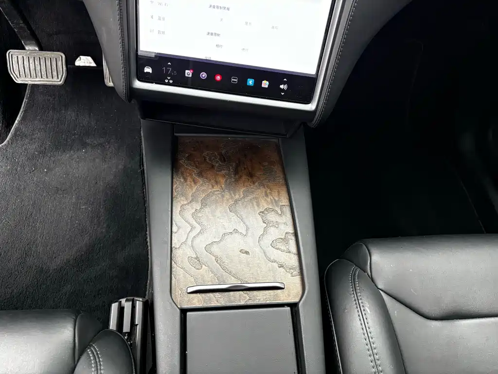 Tesla Model X 2017 Model X 100D Long Range Version 2019 - thumbnail 28