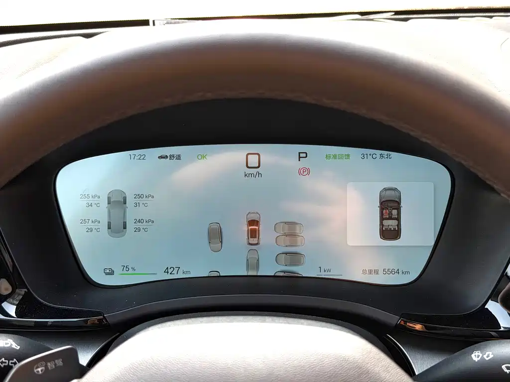 BYD BYD Song PLUS NEV 2025 EV Intelligent Driving Version 605km Flagship Model 2025 - thumbnail 15