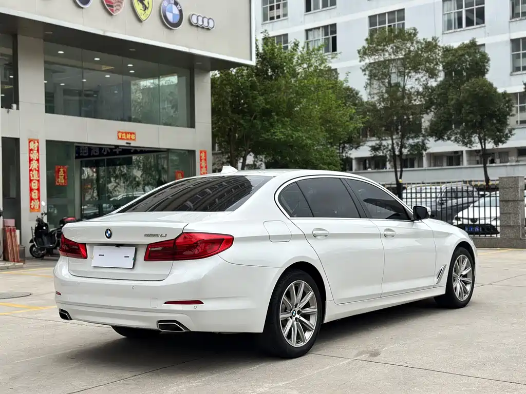 BMW BMW 5 Series 2018 528Li Launch Special Edition 2017 - thumbnail 6