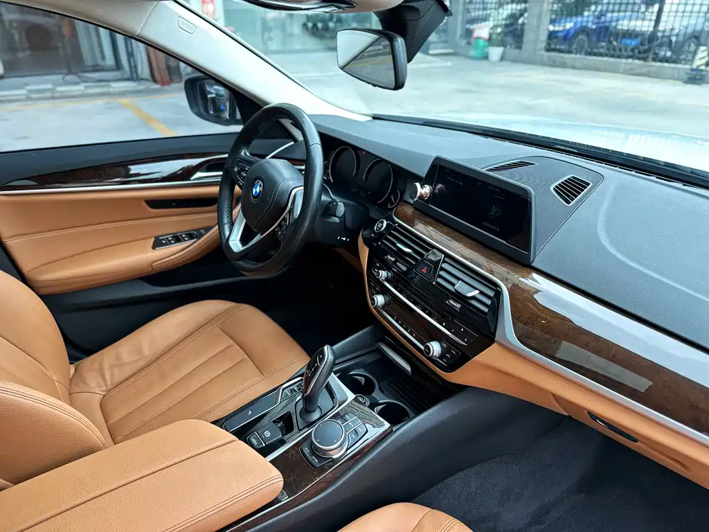 BMW BMW 5 Series 2018 528Li Launch Special Edition 2017 - thumbnail 9