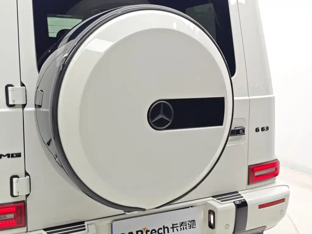 Mercedes-Benz Mercedes-Benz G-Class 2020 G 500 2022 - thumbnail 17
