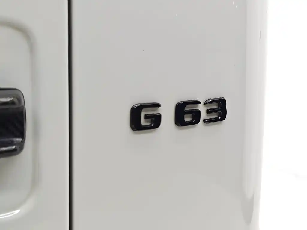 Mercedes-Benz Mercedes-Benz G-Class 2020 G 500 2022 - thumbnail 20