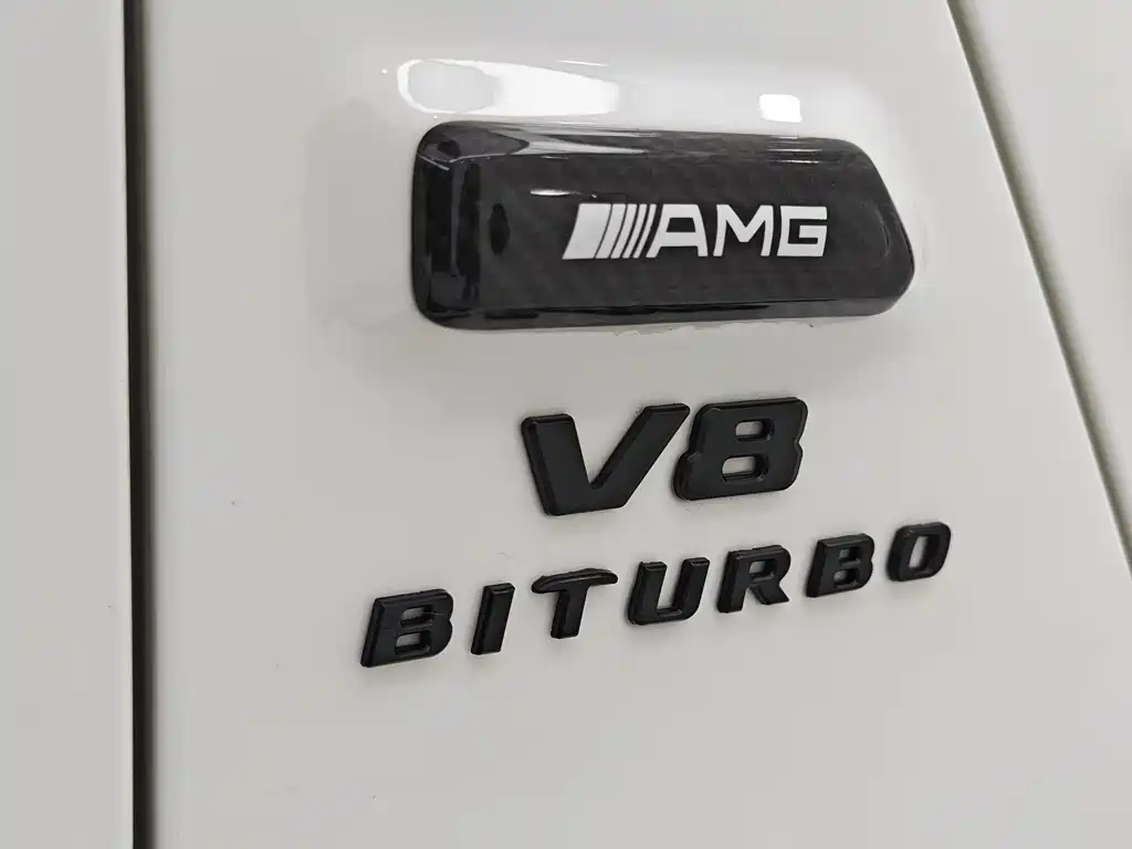 Mercedes-Benz Mercedes-Benz G-Class 2020 G 500 2022 - thumbnail 29