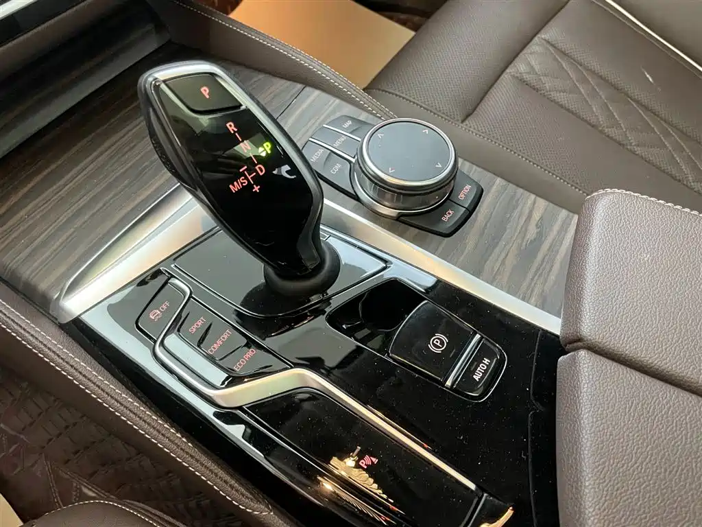 BMW BMW 5 Series 2023 530Li Leading Model Luxury Package 2023 - thumbnail 22