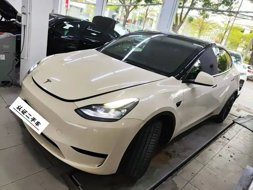 Tesla Model Y 2022 Rear-Wheel Drive 2022 - thumbnail 2