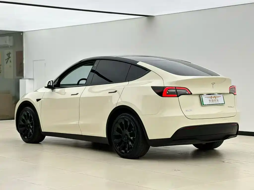 Tesla Model Y 2022 Rear-Wheel Drive 2022 - thumbnail 9