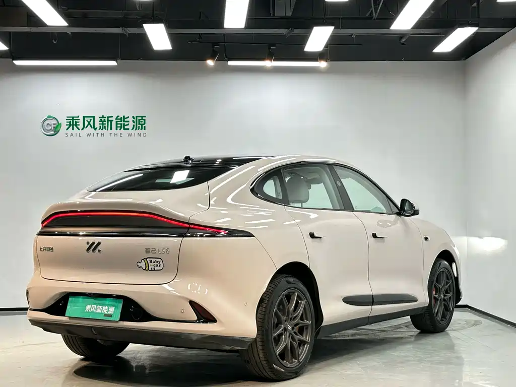 IM Motors Zhiji LS6 2023 Max Standard Edition 2024 - thumbnail 18