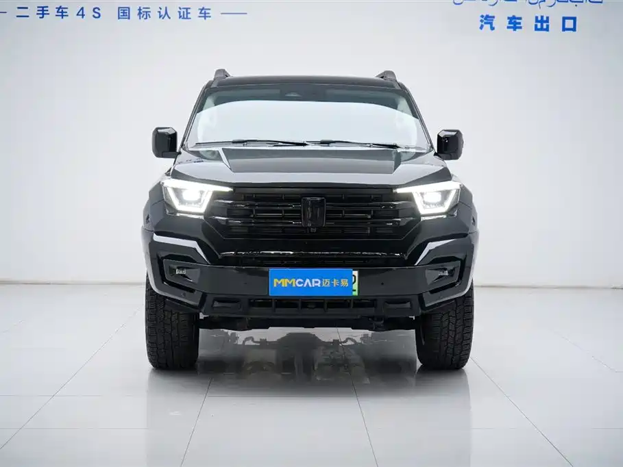 Tank Tank 400 NEV 2024 Hi4-T Off-road Edition 2025 - thumbnail 14