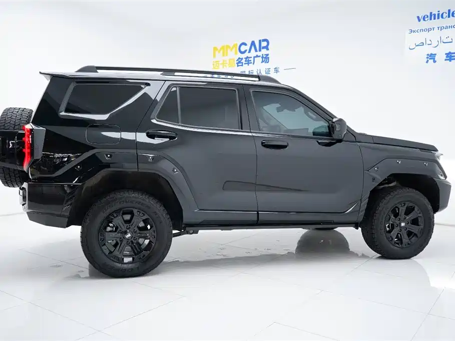 Tank Tank 400 NEV 2024 Hi4-T Off-road Edition 2025 - thumbnail 19