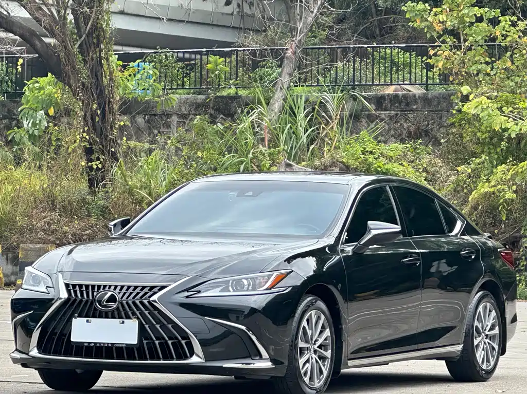 Lexus Lexus ES 2024 200 Premium Edition 2024