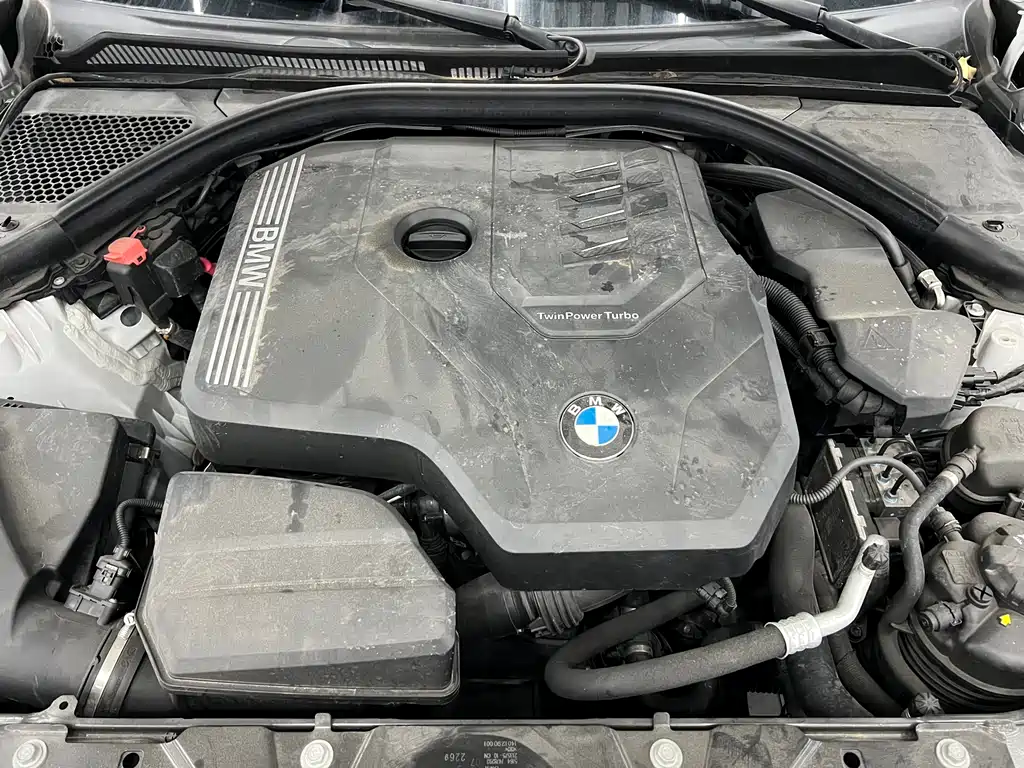 BMW BMW 3 Series 2020 325Li M Sport Package 2019 - thumbnail 21